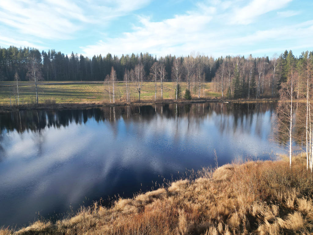 Tomten går ej ner till vattnet