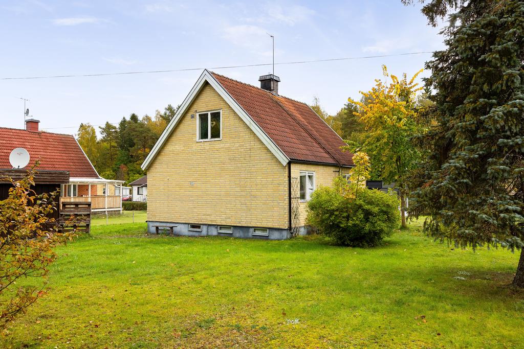 Trädgård på husets baksida