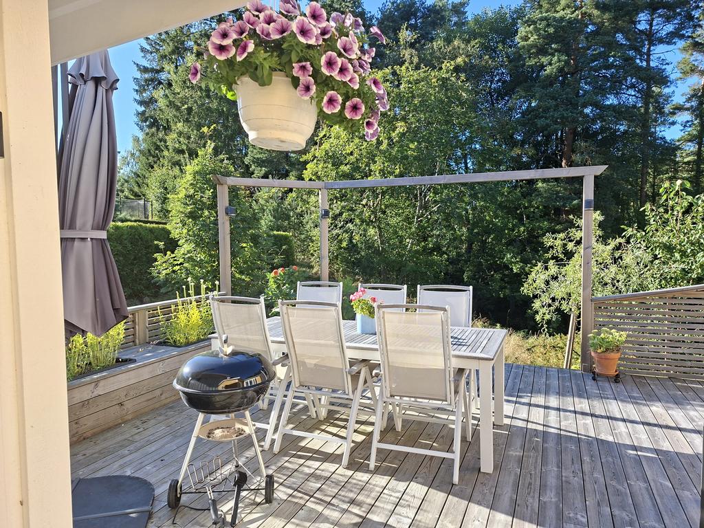 Underbart soligt sommartid!