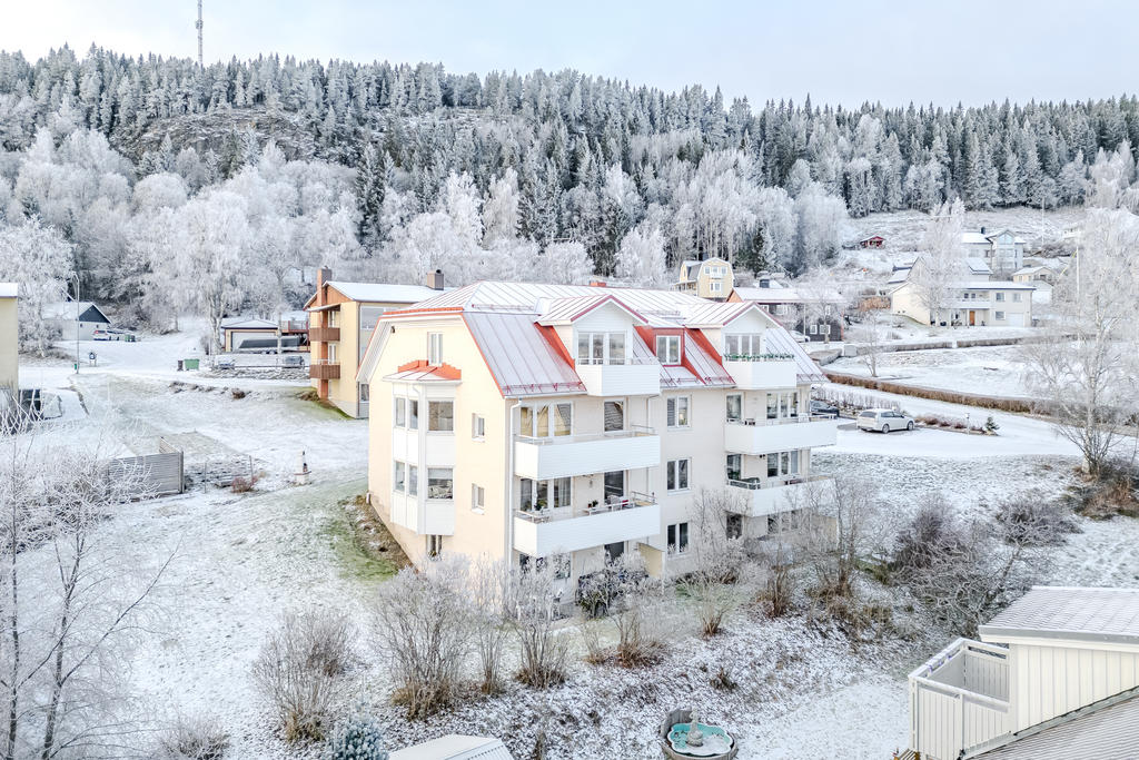 Stor härlig trädgård 