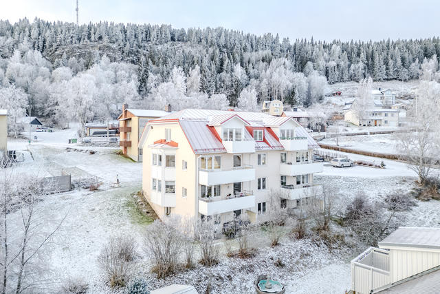 Stor härlig trädgård 