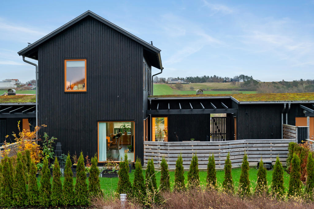 Trevligt med sedumtak på carporten 