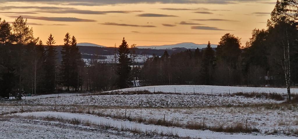 Säljarens egna bild