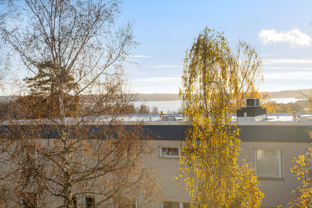 Välkommen till Björnbärsstigen 22