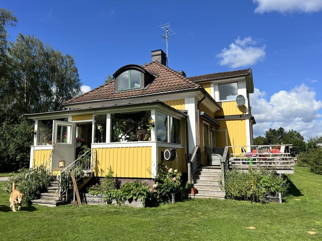 Säljarens sommarbild