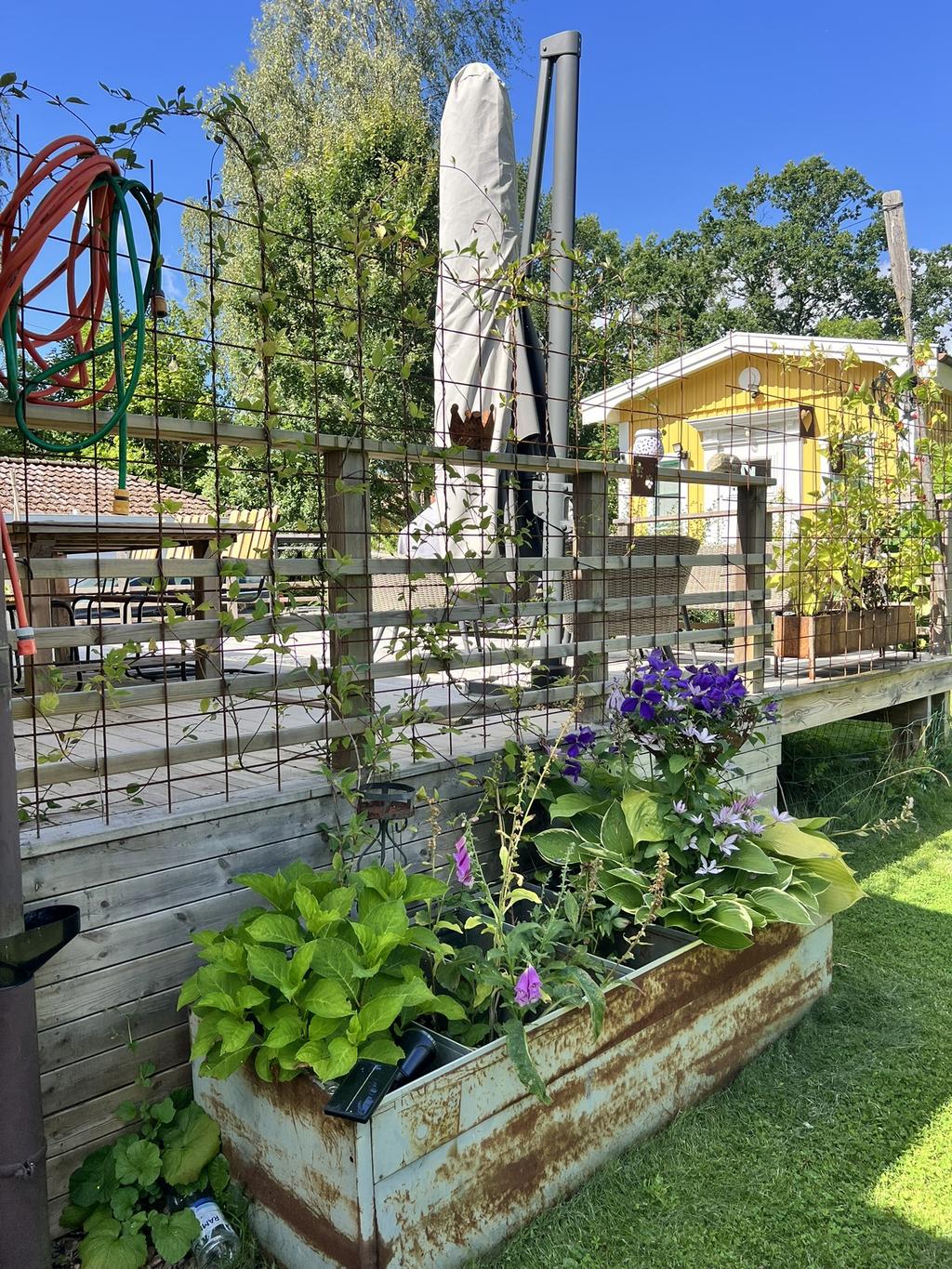 Säljarens sommarbild