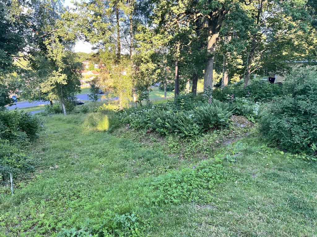 Säljarens sommarbild