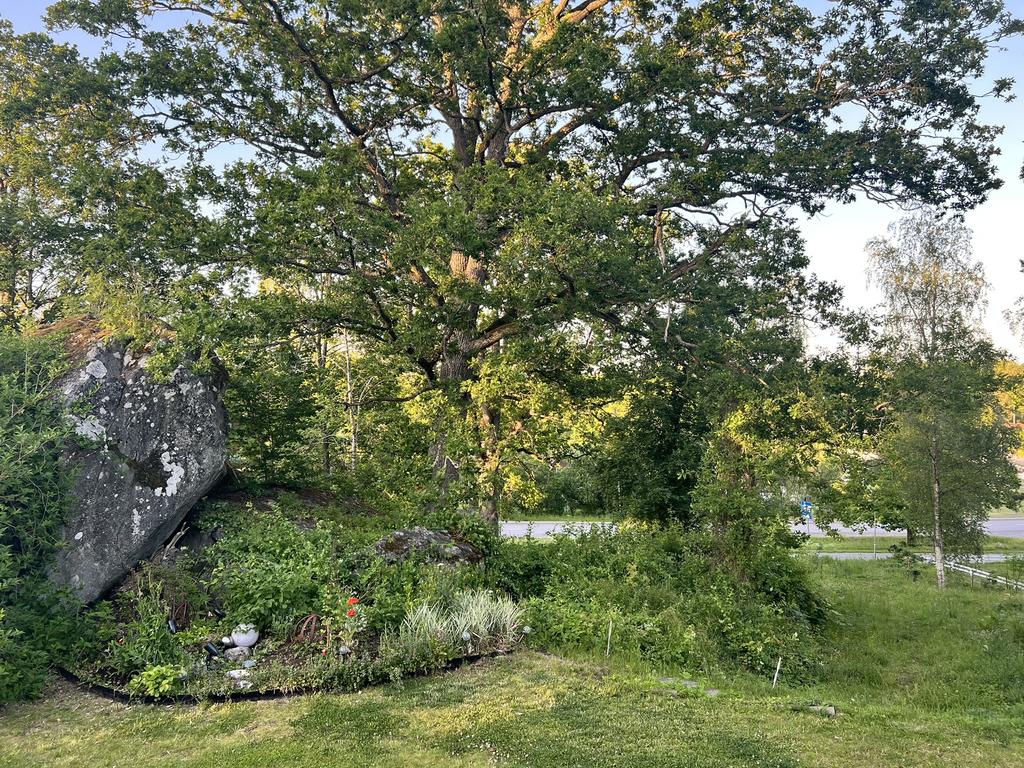 Säljarens sommarbild