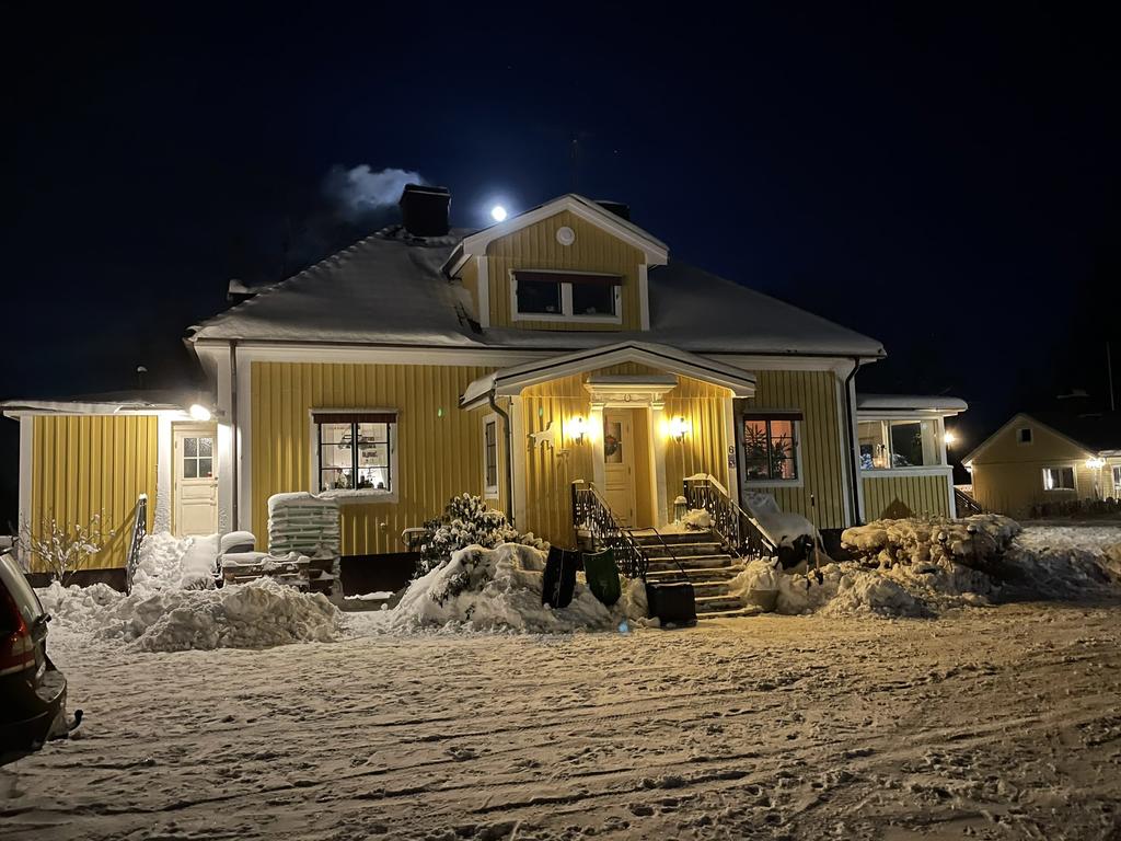 Säljarens vinterbild