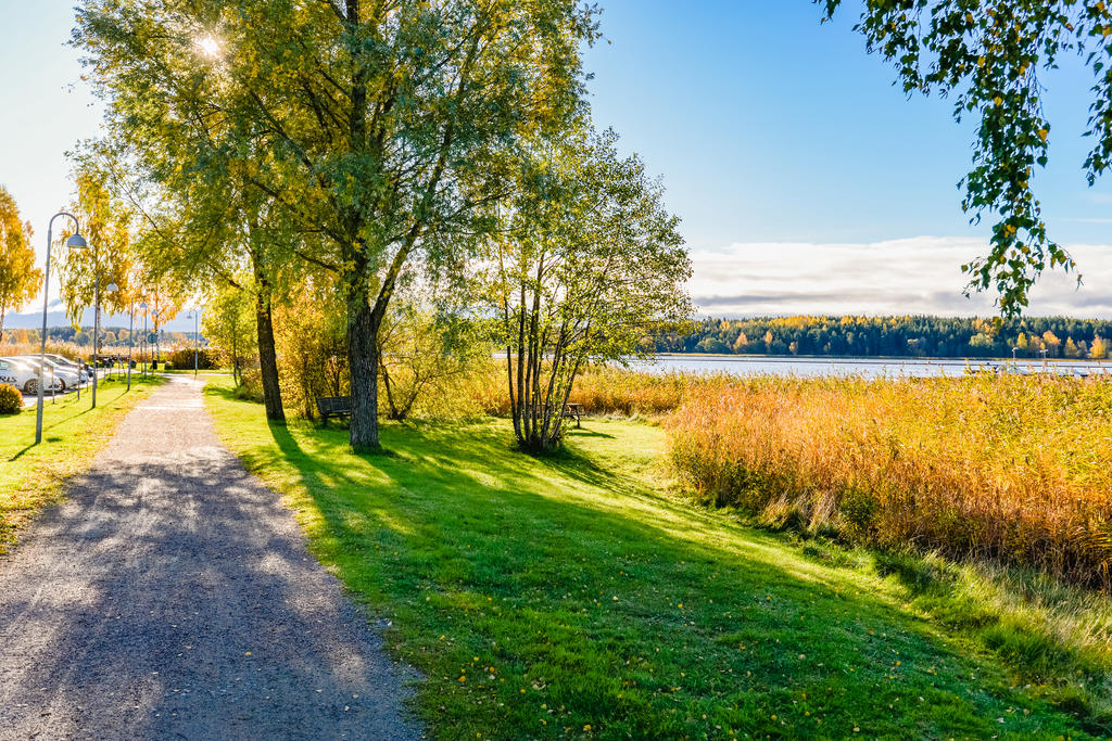 Promenadstråket i höstskrud