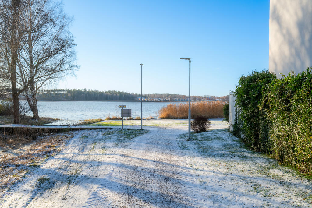 Området om vintern