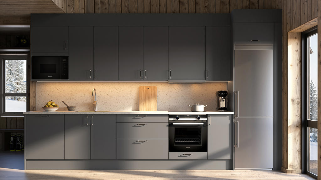 Illustrationsbild färg koncept "Silvergran"