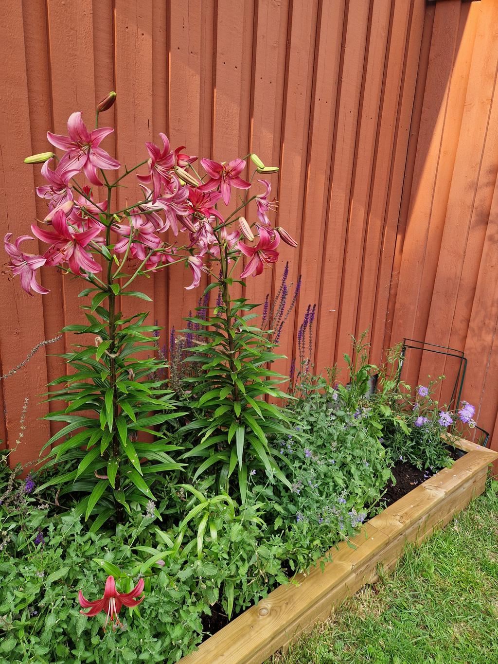 Säljarens egna sommarbild