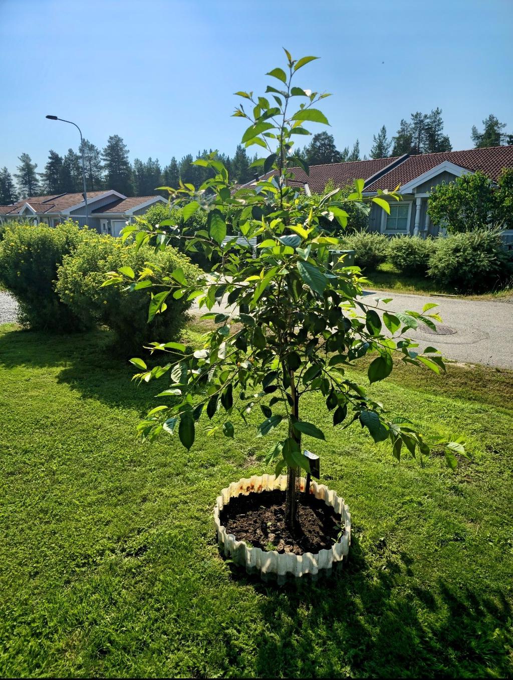 Säljarens privata bild