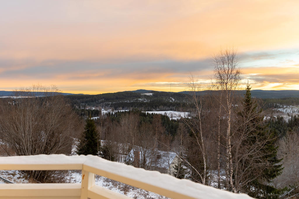 Utsikt från husets balkong i söderläge där årstidsväxlingarna kan följas