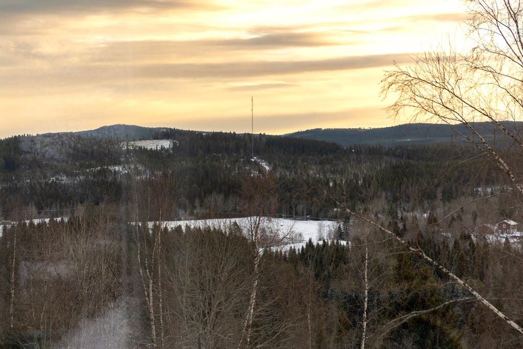 Utsikt från vardagsrum