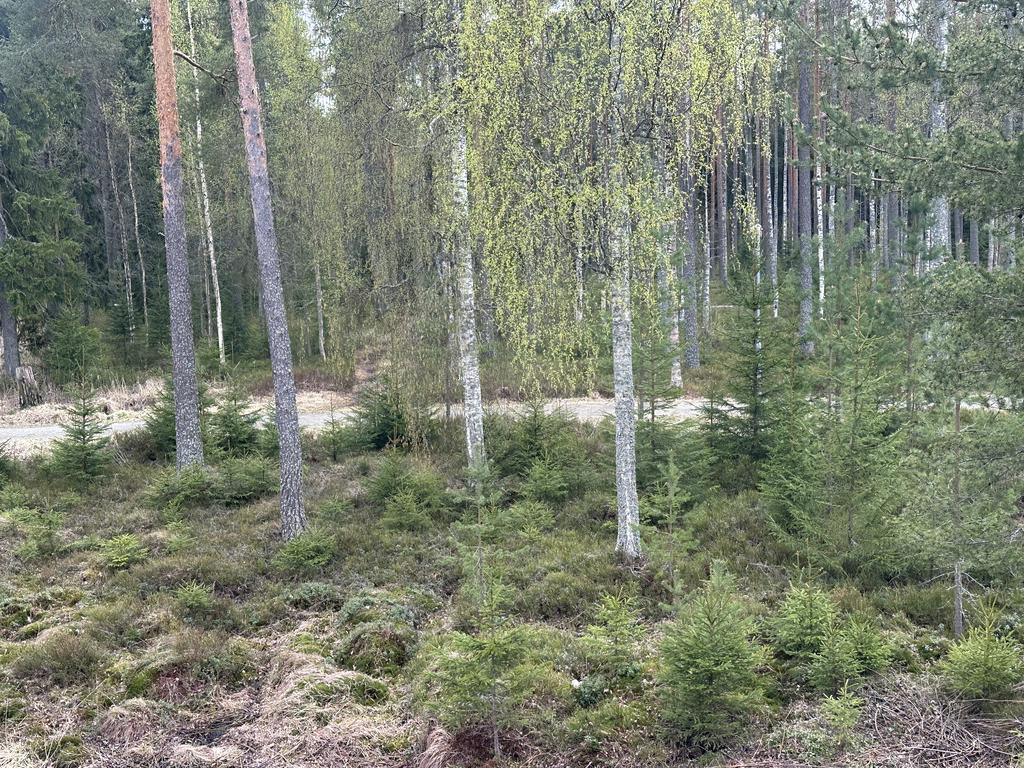 Utsikt från balkongen