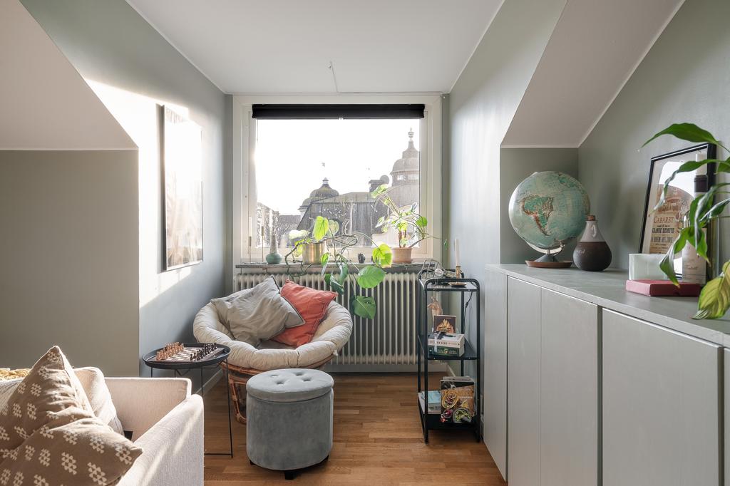 Utsikt över takåsarna