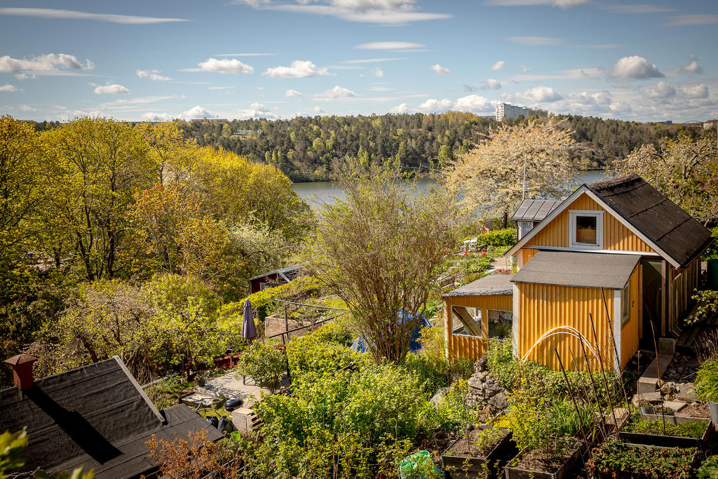 Södra Årstalundens koloniområde