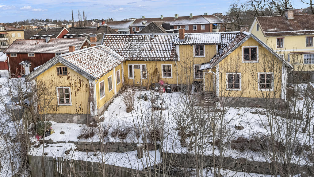 I väntan på grönskan