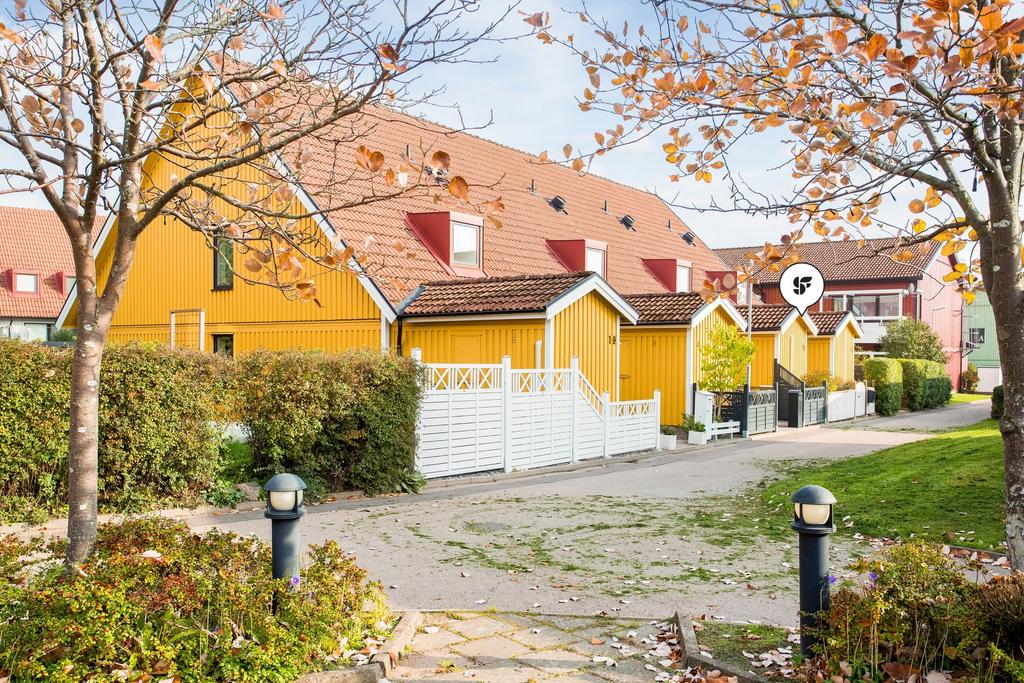 Områdesbild under hösten!