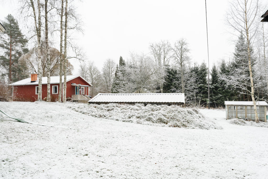 Trädgård och gässtuga 2