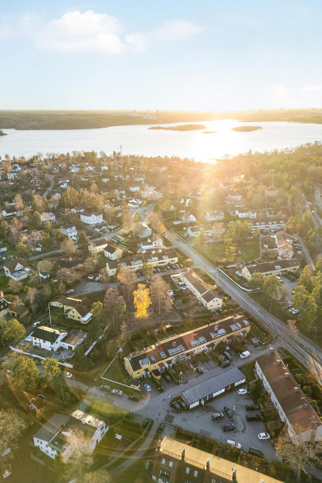 Sälgstigen i ljust och soligt läge