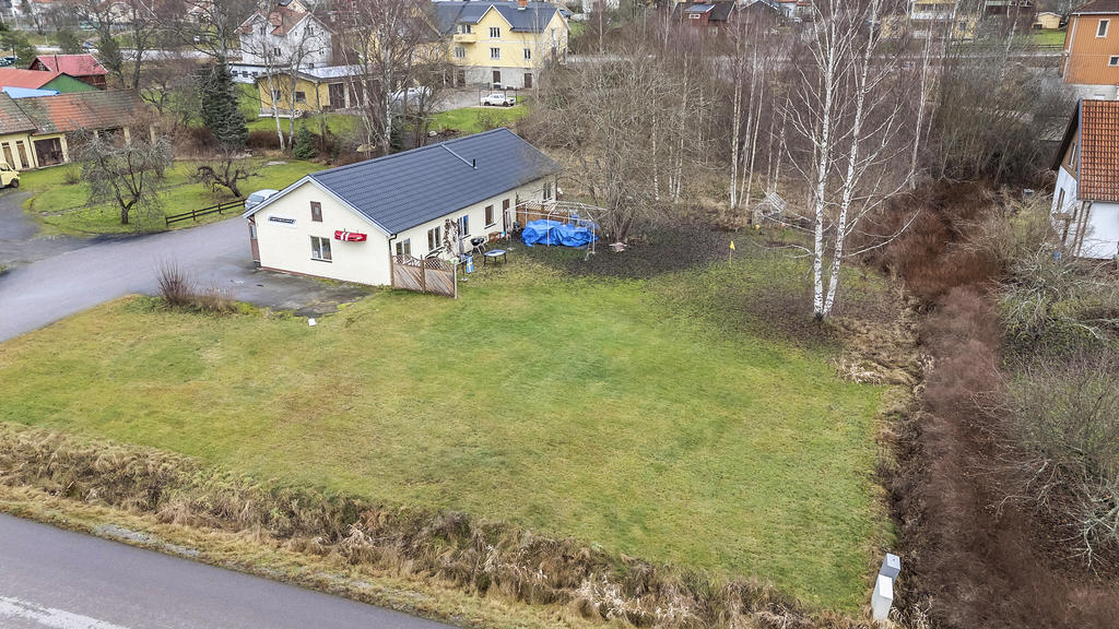 Grönytor runt omkring