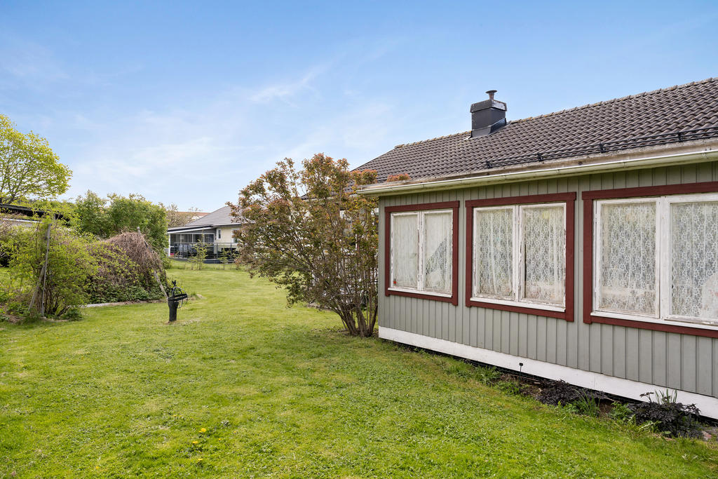 Trädgård