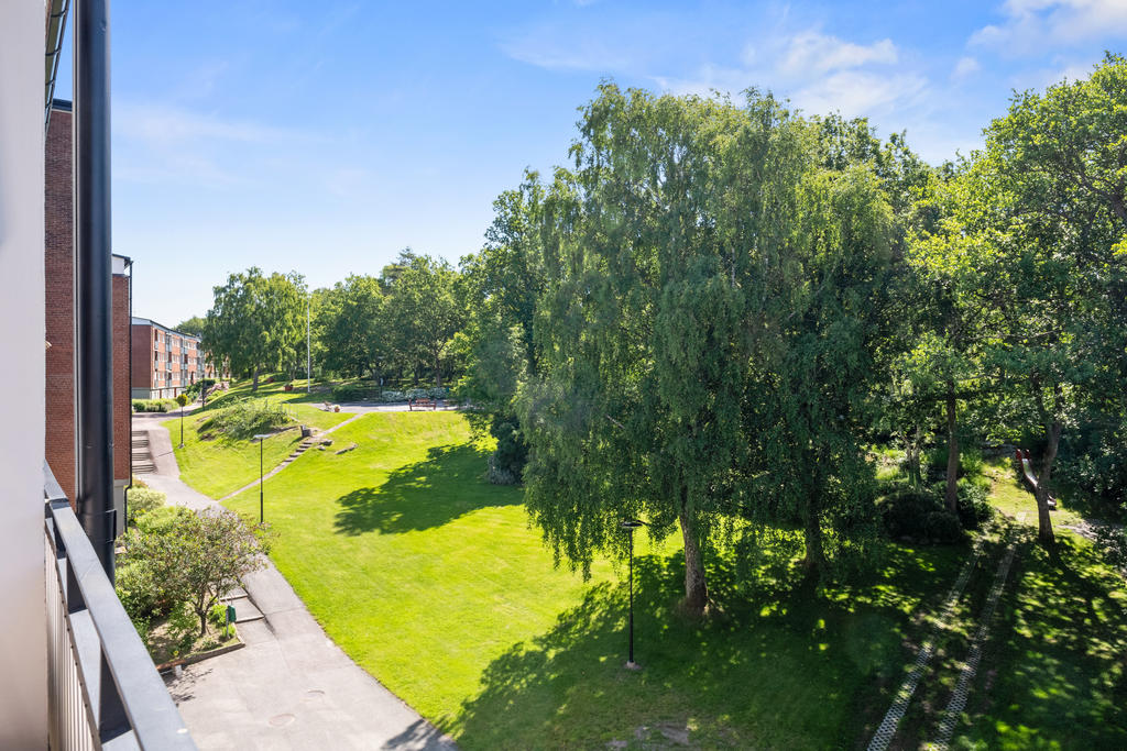 Bilder från tidigare försäljning 2022