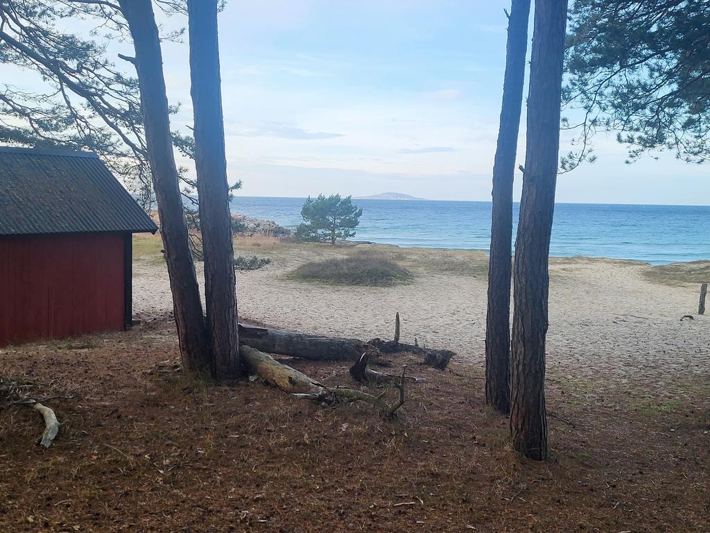 200 meter till sandstranden