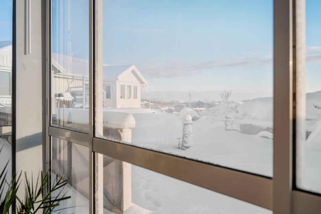 Malmön i vinterskrud