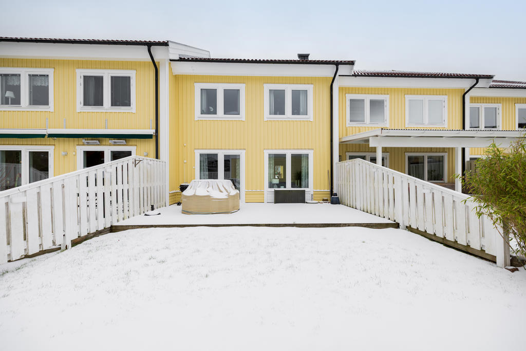 Härlig trädgårdsbaksida