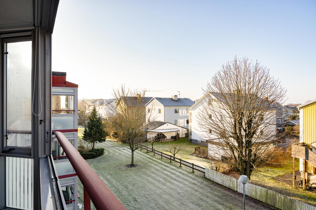 Fin vy över hustaken!