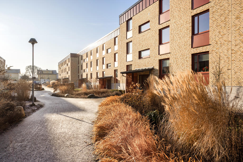 Välkommen till Brf Trädlyckan!