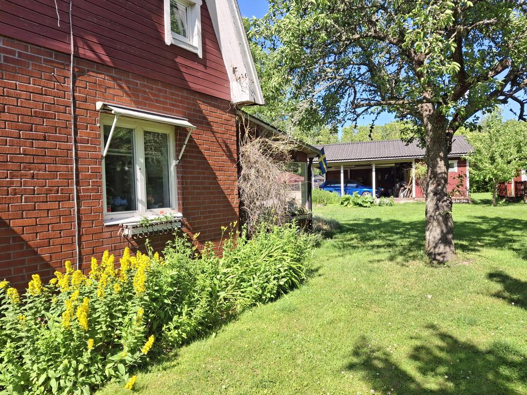 Grönskande trädgård