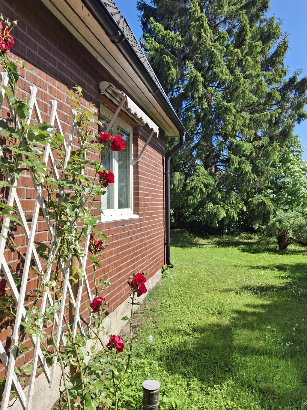 Grönytor intill huset