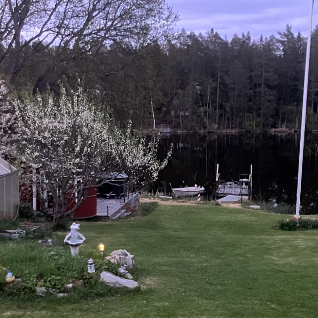 Trädgård