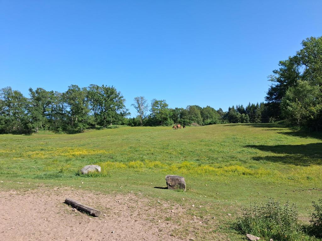 Stora beteshagar