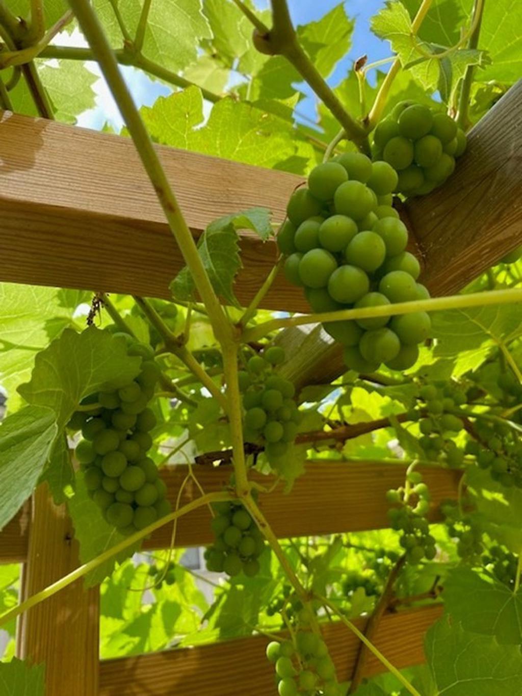 Säljarens privata bild