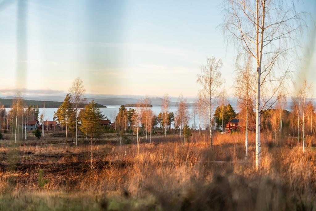 Vy från bostaden