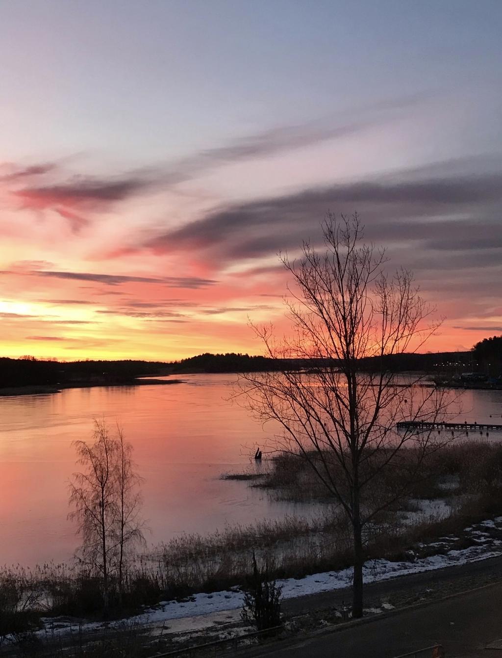 Ägarnas egna bild 