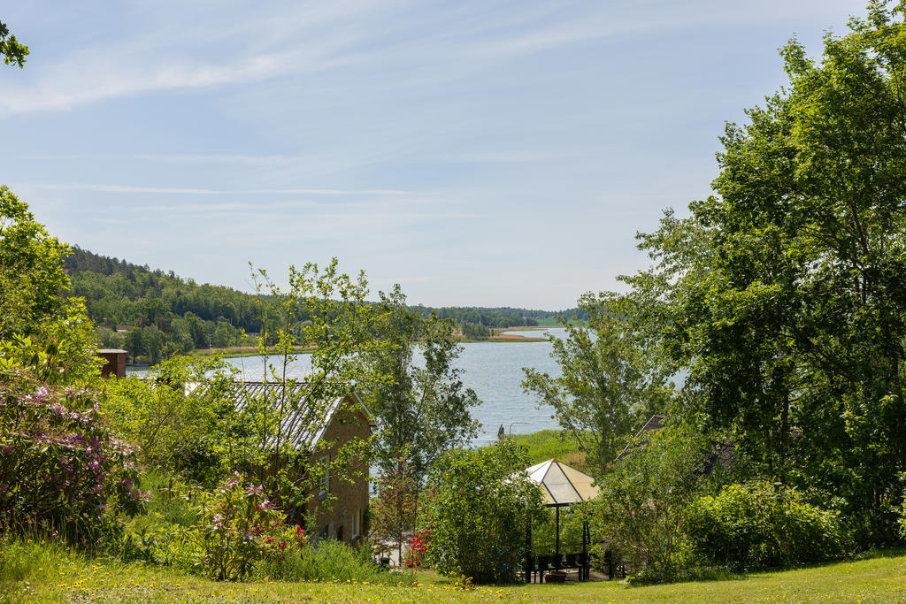 Trädgård 