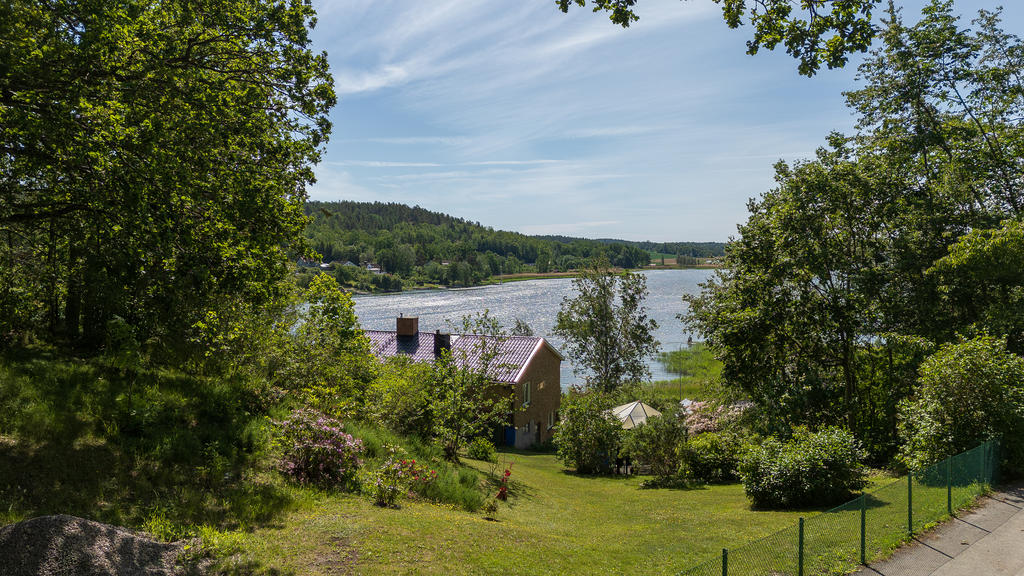 Trädgård 