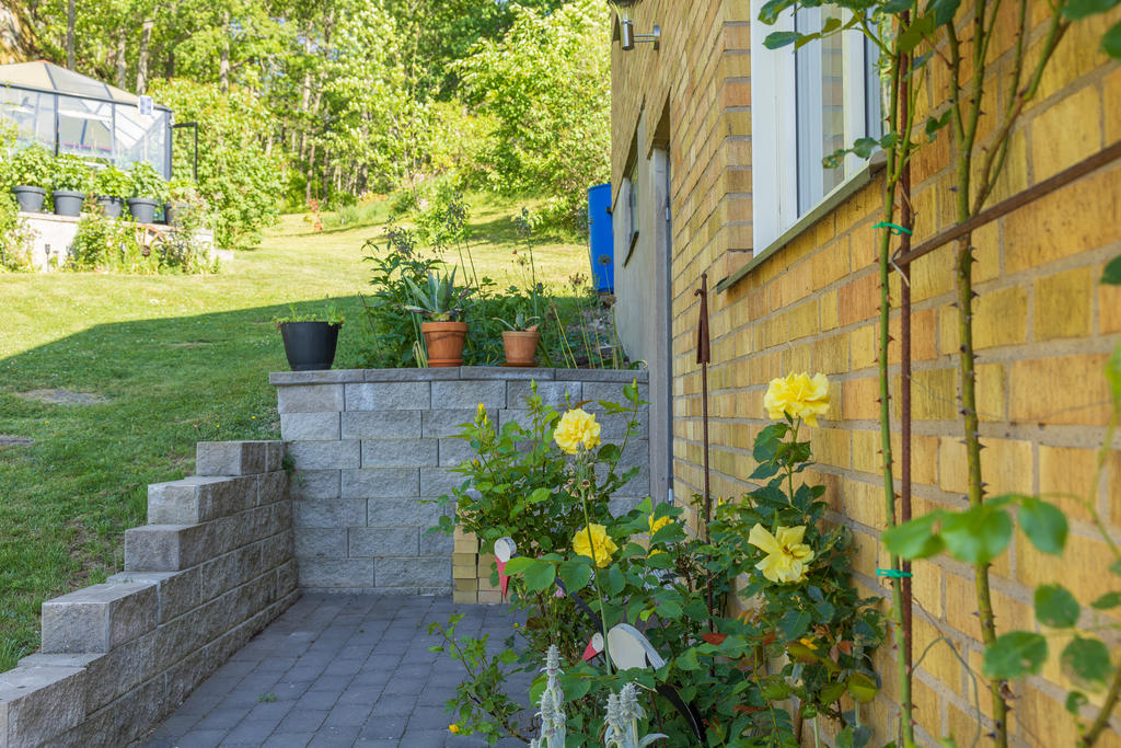 Trädgård 