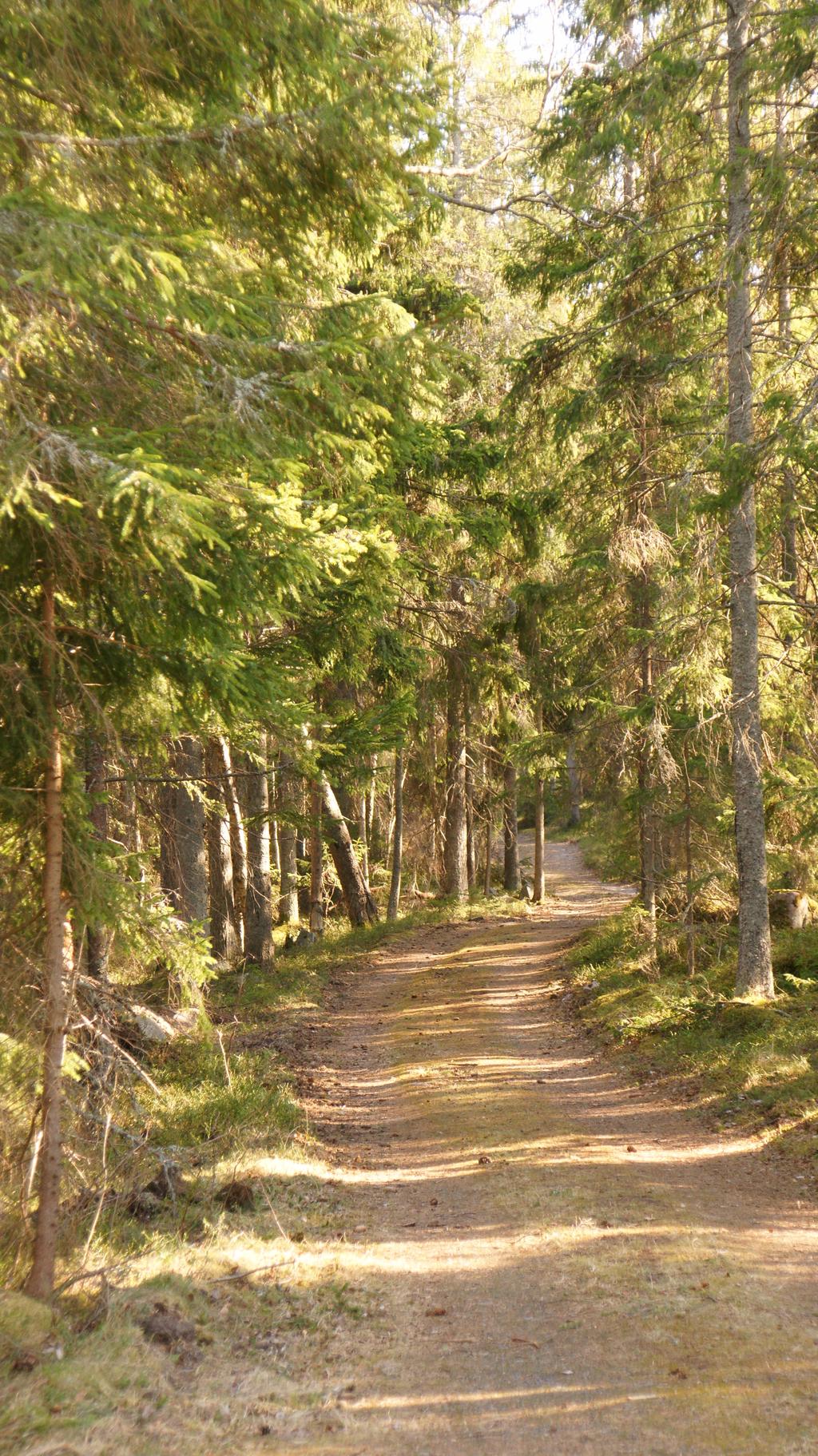 privat väg till fastigheten