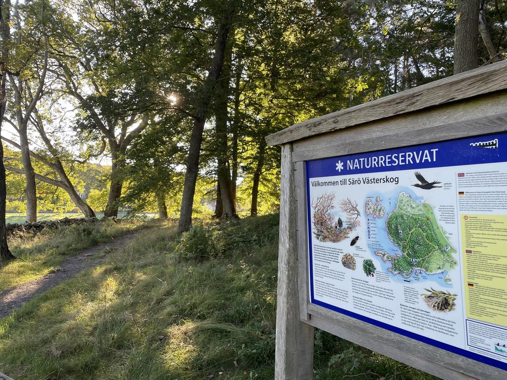 Njut av fantastisk natur i Särö Västerskog!