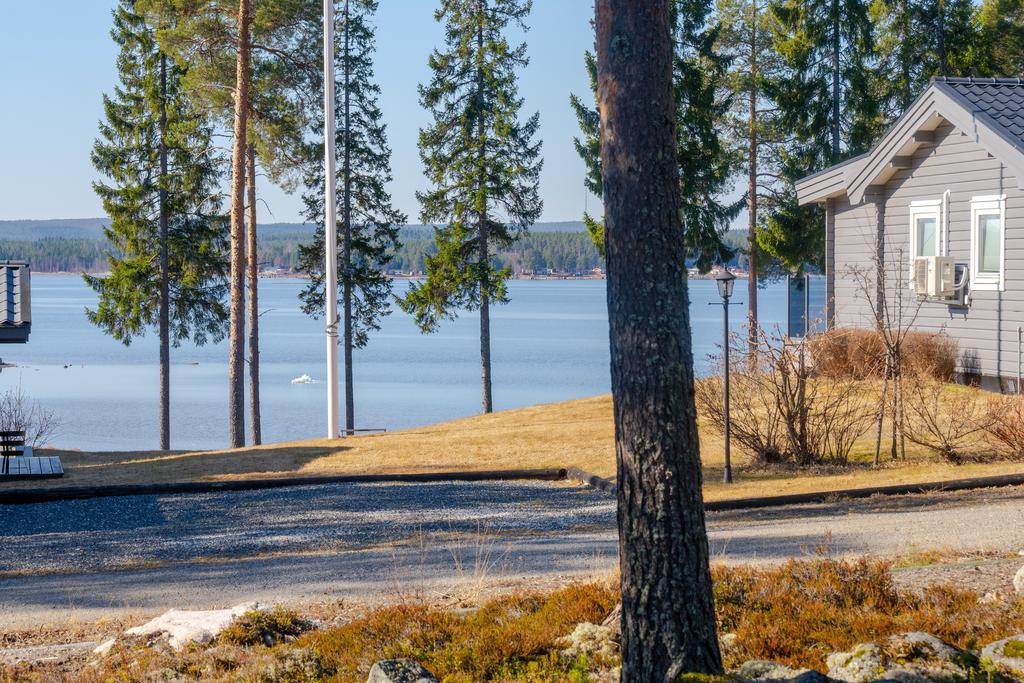 Utsikt från huset
