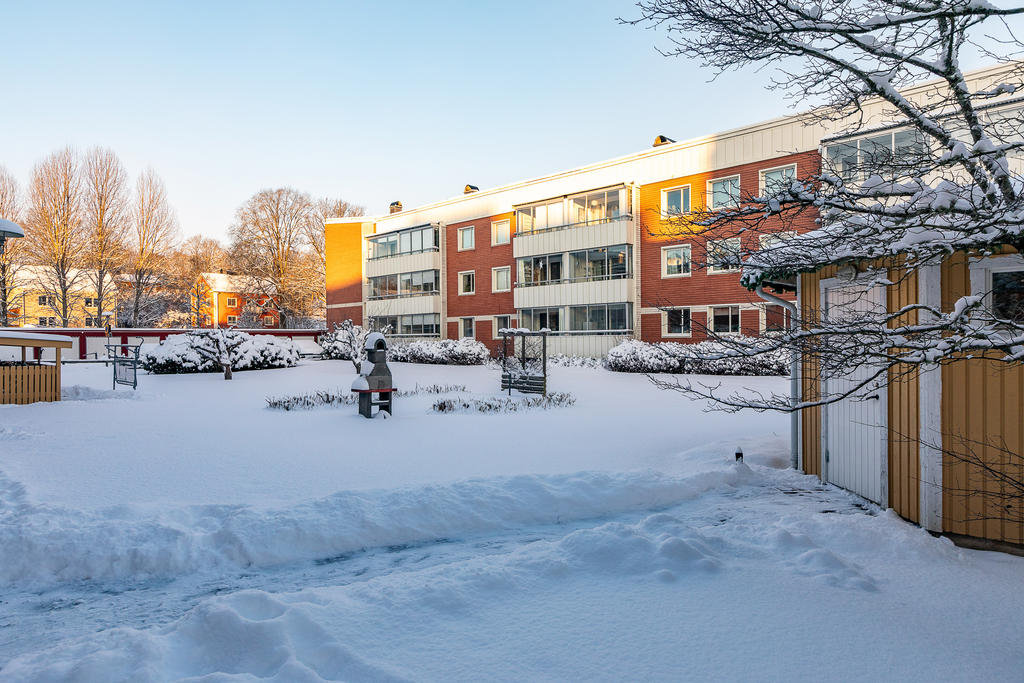 Innergård med uteplatser och en gemensam grillplats 