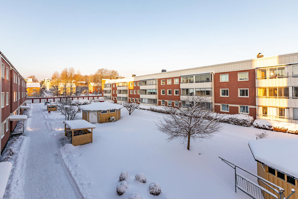 Välskött förening med stabil ekonomi